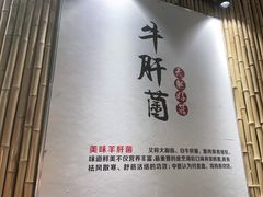 -大理董·董家小厨野生菌火锅(古城旗舰店)