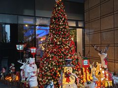 -上海外滩英迪格酒店