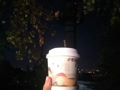 -茶颜悦色(岳麓山顶店)