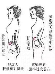 -小颜秘家·韩国整骨