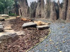 -北京野生动物园