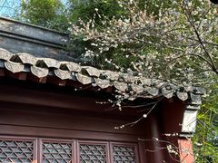 -钱王祠