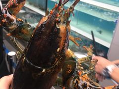 -盒马鲜生(大成店)