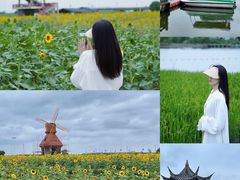 -杭州湾海上花田景区