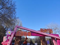 -桃花堤公园