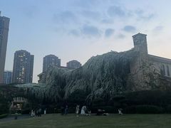 -府河摄影公园