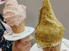 -野人先生现做冰淇淋(北京环宇荟店)