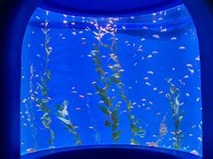 -欢乐海岸海洋奇梦馆