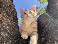 -CGWANG王氏教育(上海校区)