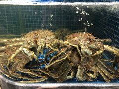 -骏莱海鲜鱼港(五角场店)