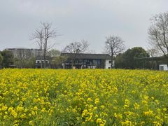 -田园东方蜜桃村的田野营地