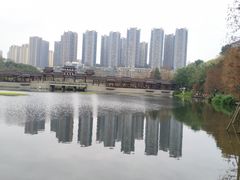 -重庆彩云湖湿地公园
