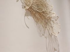 -百花深处·老北京风味菜