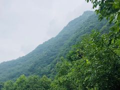 -沣峪口