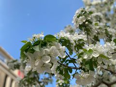 -远洋未来广场(育慧北路店)