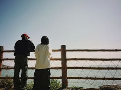 -广东惠东海龟国家级自然保护区