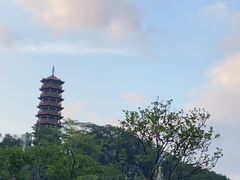 -红花山公园