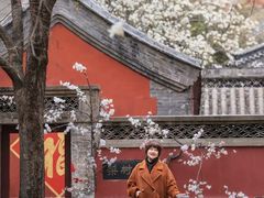 -潭柘寺景区