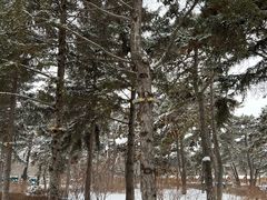 -长春市南湖公园