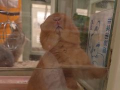 -龙猫仔乐园(惠福东路店)