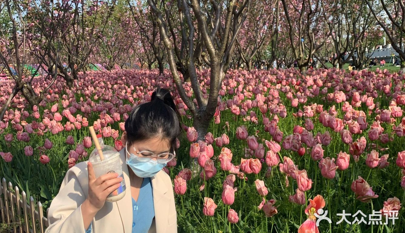 平湖探店｜我在中埭等你，樱花里等你