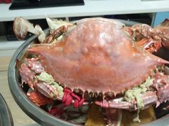 -南戴河海滨市场