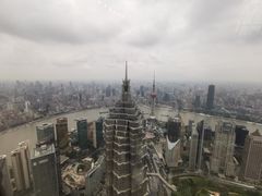 -上海柏悦酒店·世纪100牛排馆