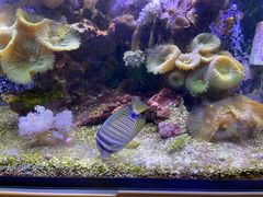 -大梅沙游艇度假酒店