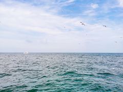 -大连海昌东方水城