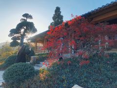 -径山寺