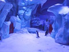 -上海海昌海洋公园-停车场