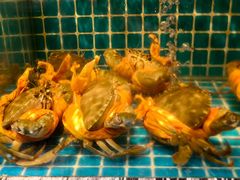 -佬太公海鸭·海鲜大排档(上海总店)