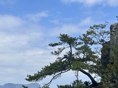 -恩施大峡谷