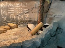 -Zoolung Zoolung动物主题公园(海信广场店)