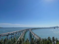-星海湾跨海大桥