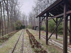 -合肥滨湖国家森林公园