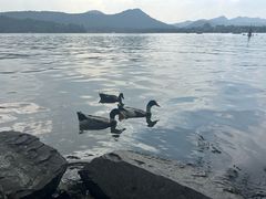 -西湖游船