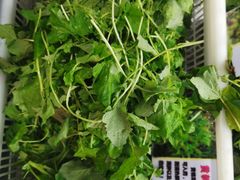 -黔府豆米火锅野菜馆(南马店)