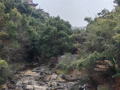 -洪崖丹井
