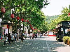 -清真.回香园(南街店)