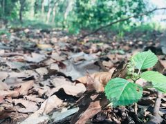 -南京市无想山景区
