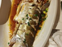 -金美华轩(东方路齐鲁店)