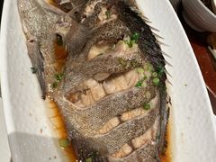 -山东八大碗山东老字号