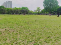 -泰丰公园