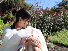 -墨尔本皇家植物园