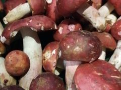 -银生食府·普洱菜(金星店)