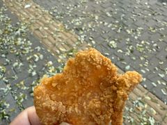 -白纸坊美式炸鸡