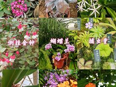 -国家植物园南园