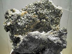 -安徽省地质博物馆