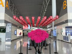 -石家庄正定国际机场-T2航站楼